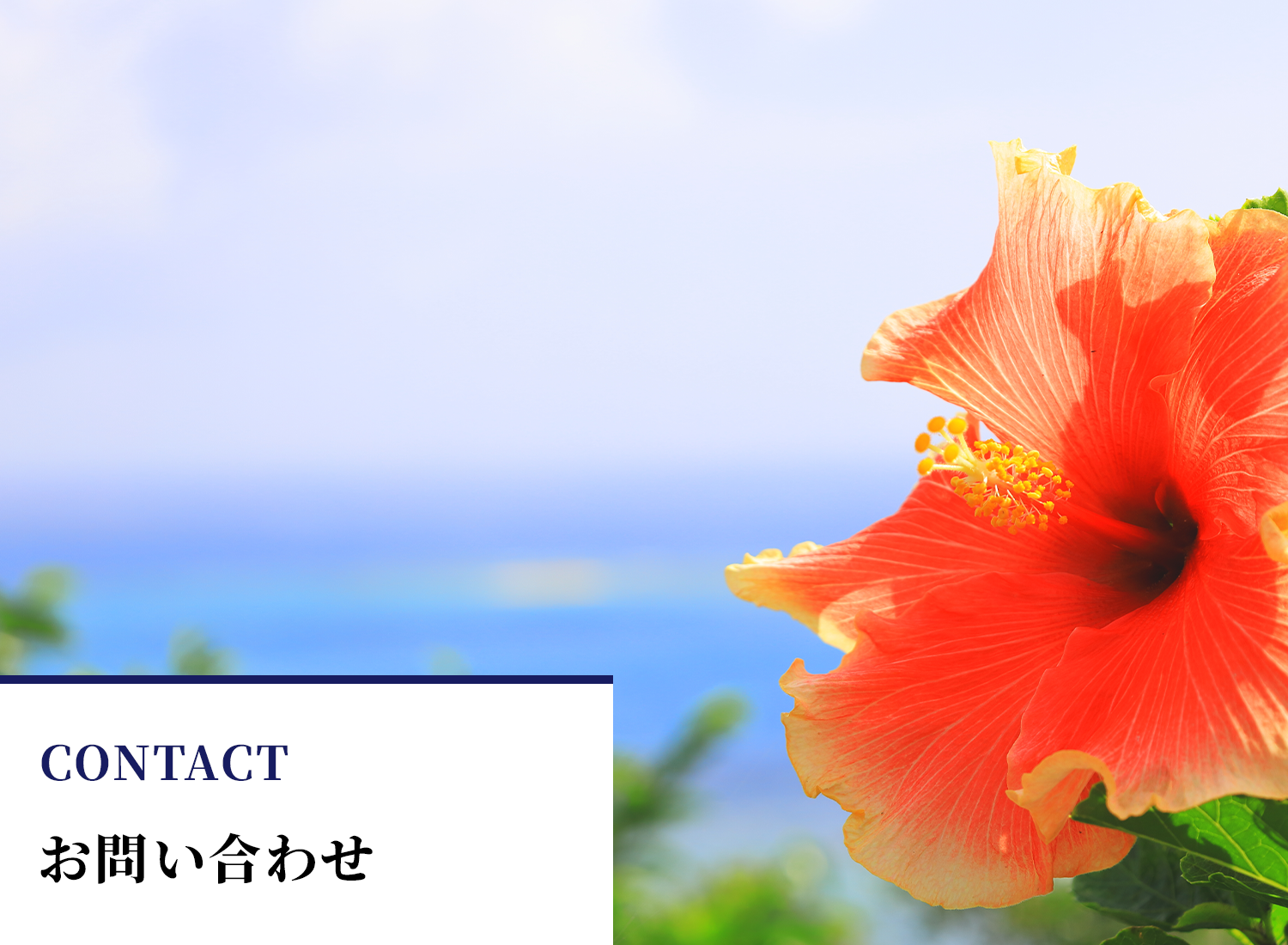 お問い合わせ｜沖縄リアルエステート株式会社